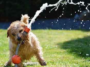 Summer Thursdays