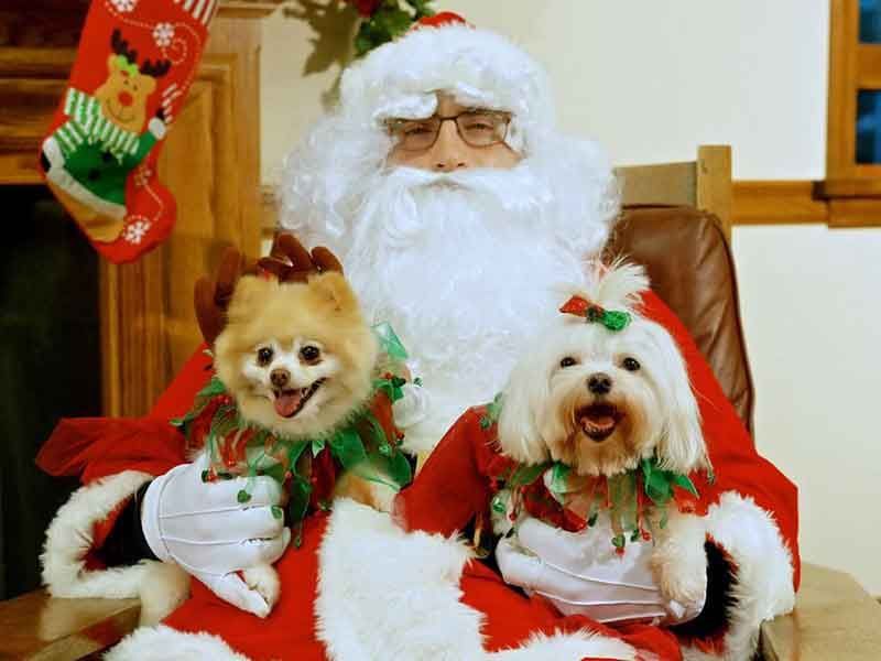 SantaCon at Southampton Publick House