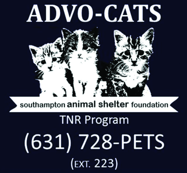Sponsor a Spay/Neuter Day for Ferals
