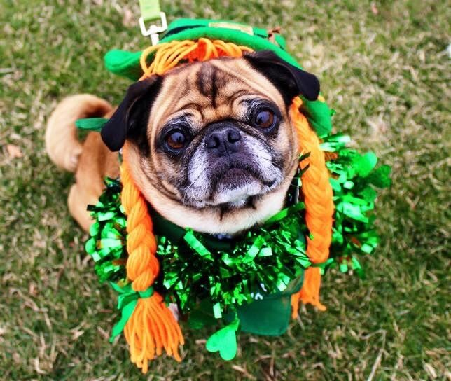St. Patrick's Day Parade