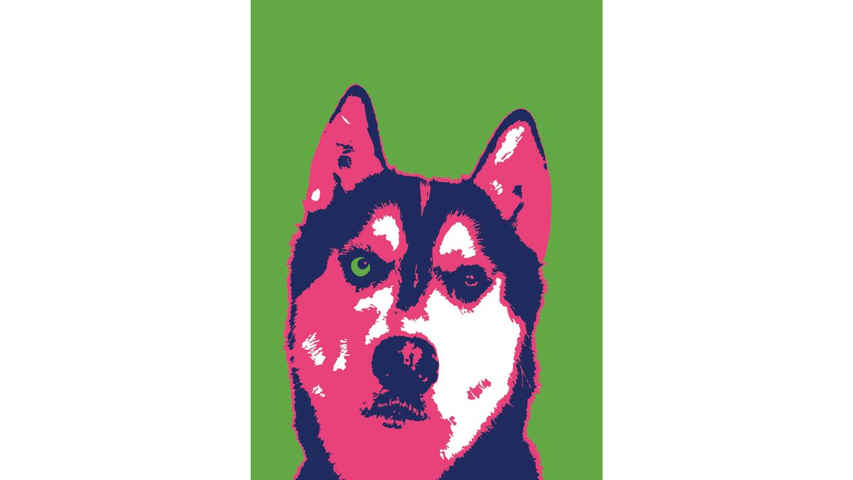 3rd Annual Paws in the Park