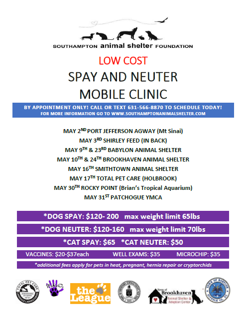 Mobile Flyer October 2017