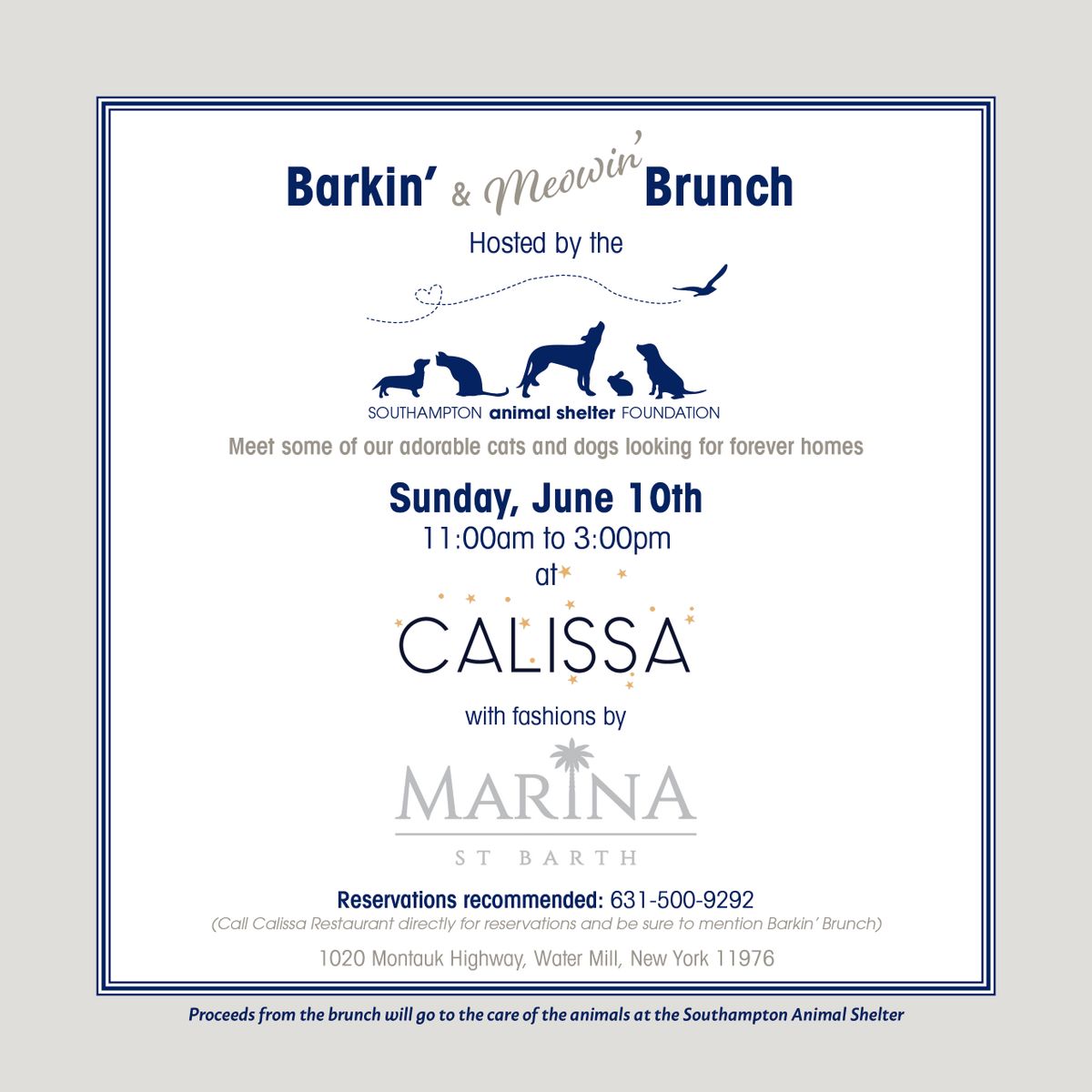 Barkin' Brunch at Calissa