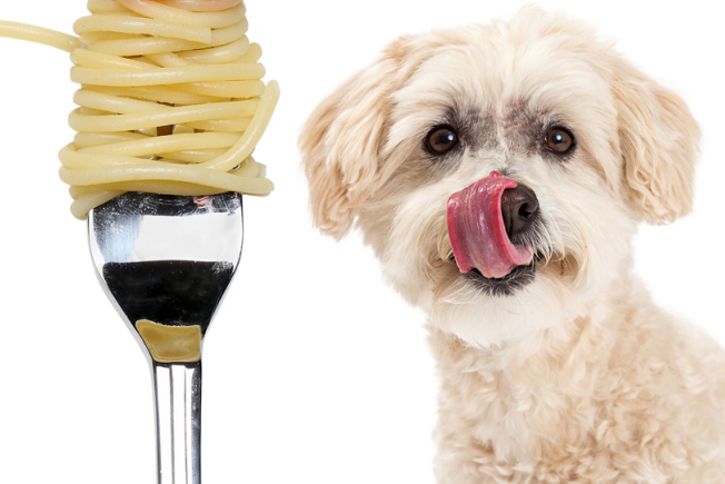 SPAYghetti Dinner