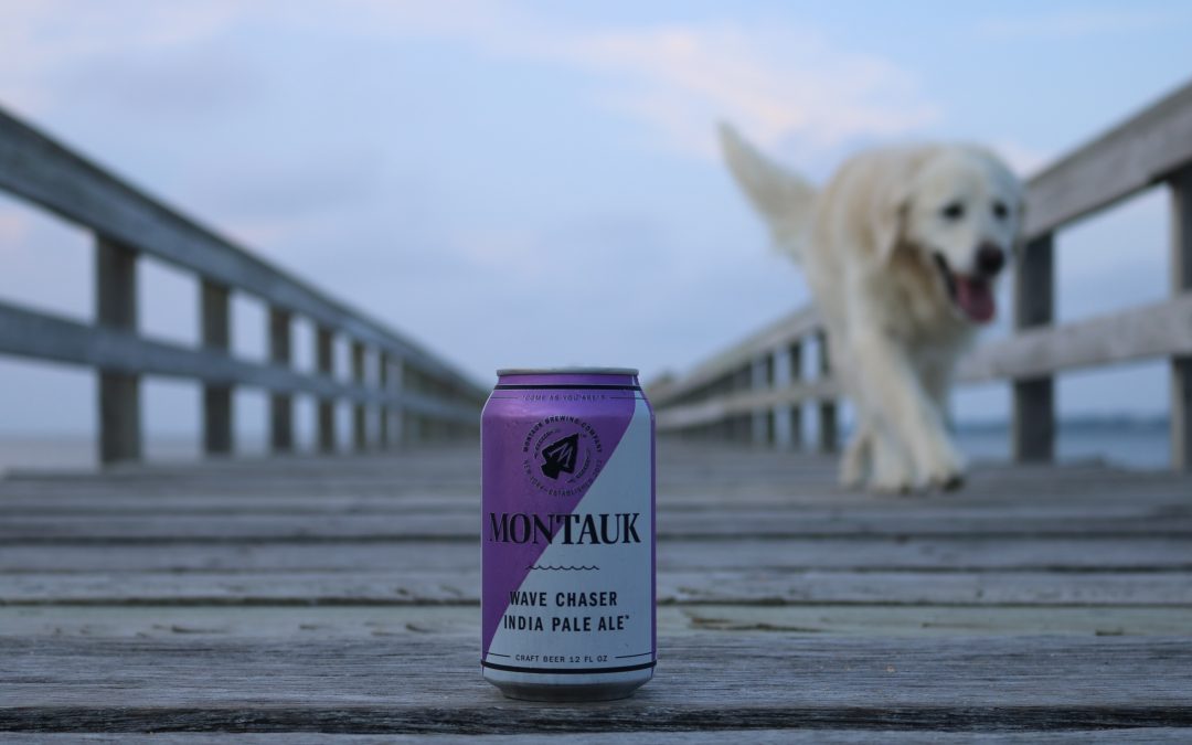 Pints for Paws