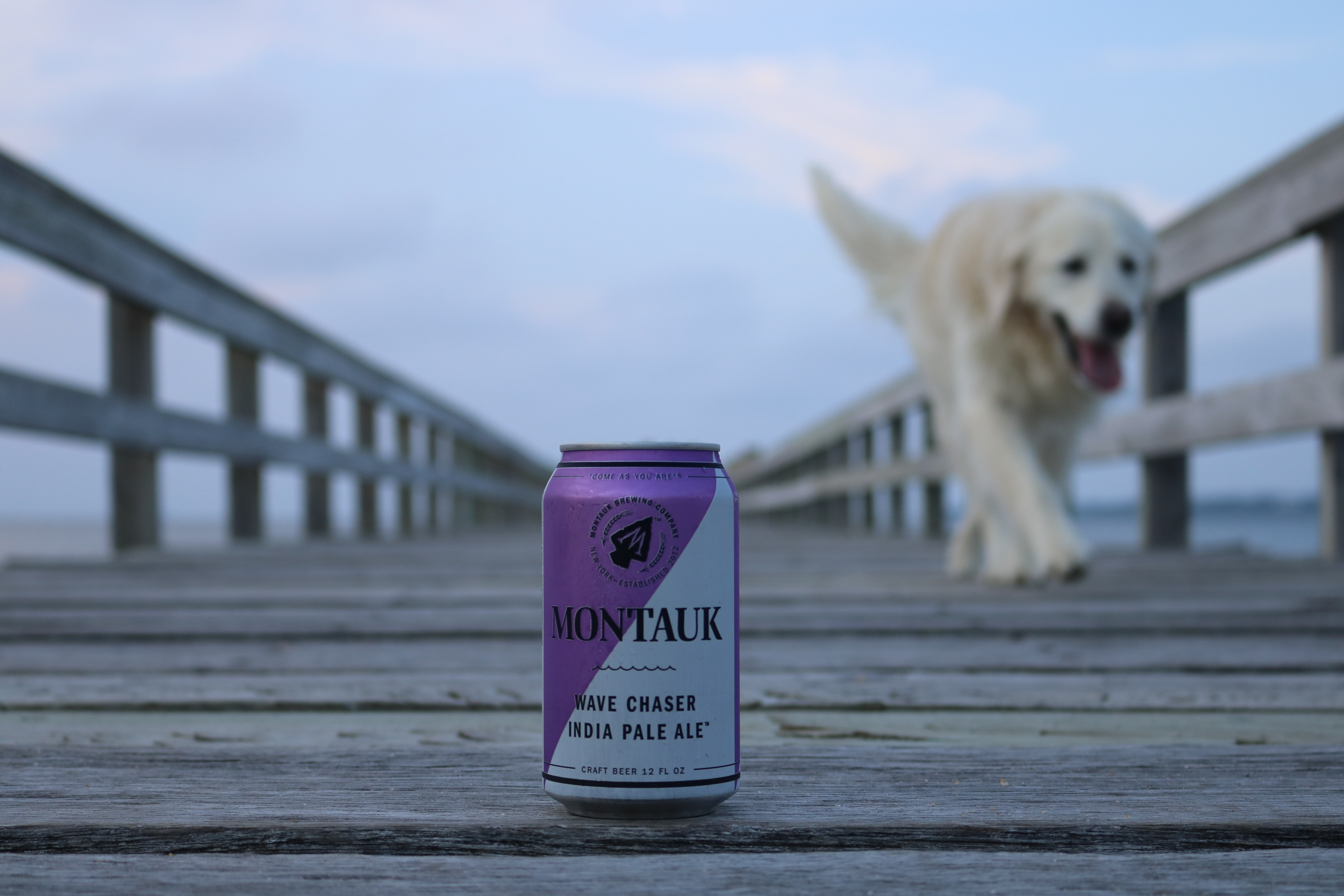Pints for Paws Kick-Off at Montauk Brewing Co.