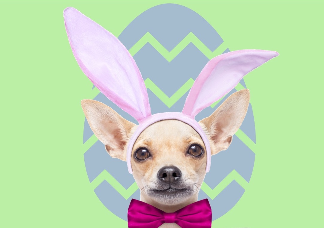 Peeps & Paws