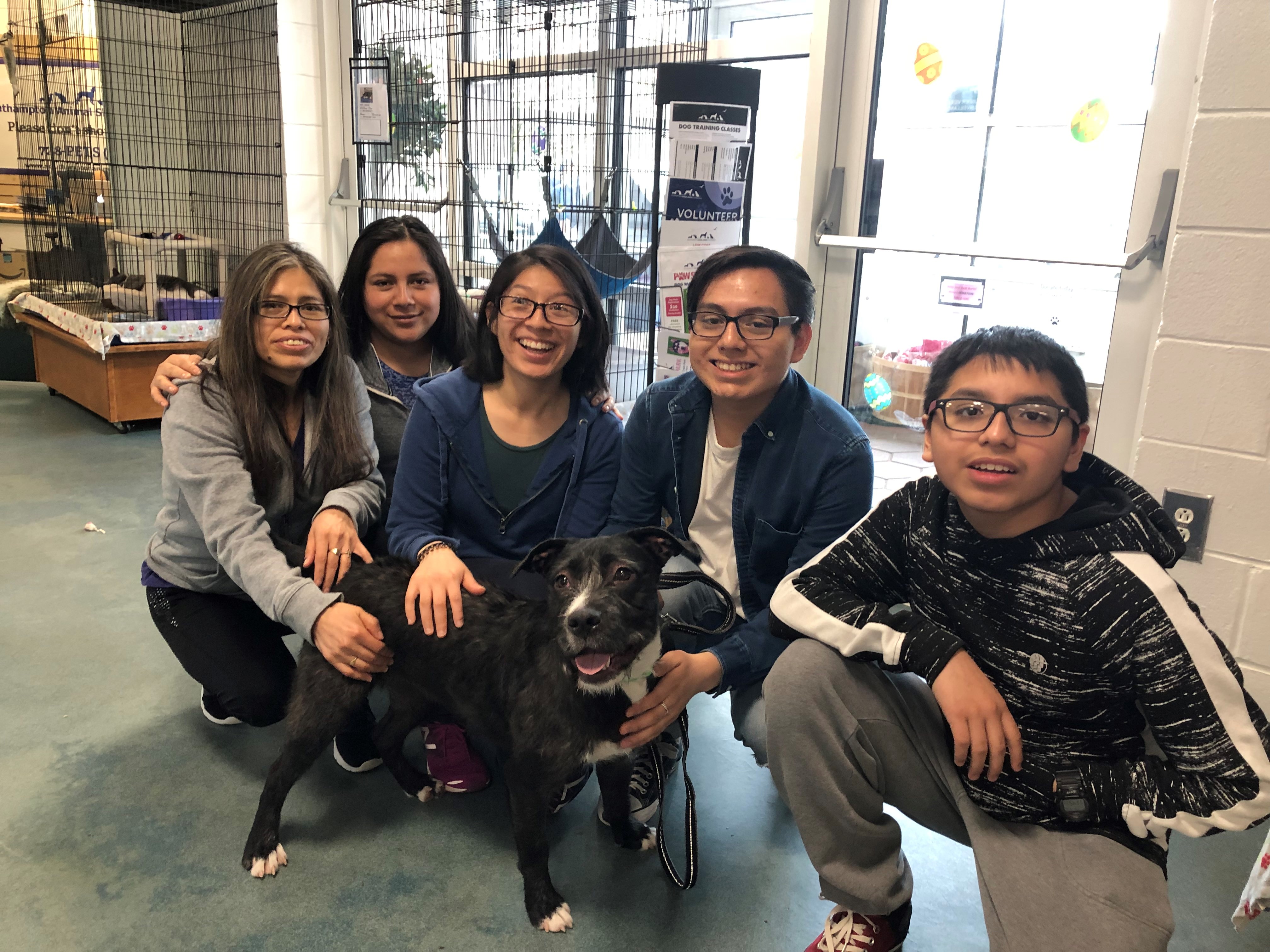 4 26 19 kiera - freeport dog owner turns his lab s instagram following into a full