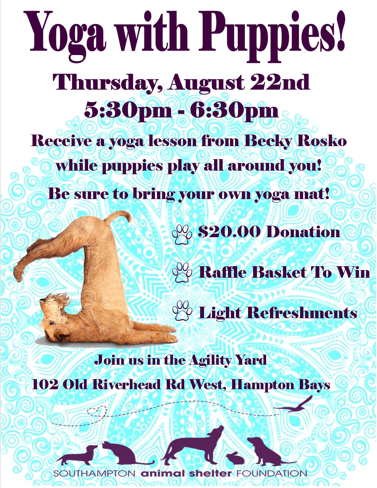 Yoga with Puppies!