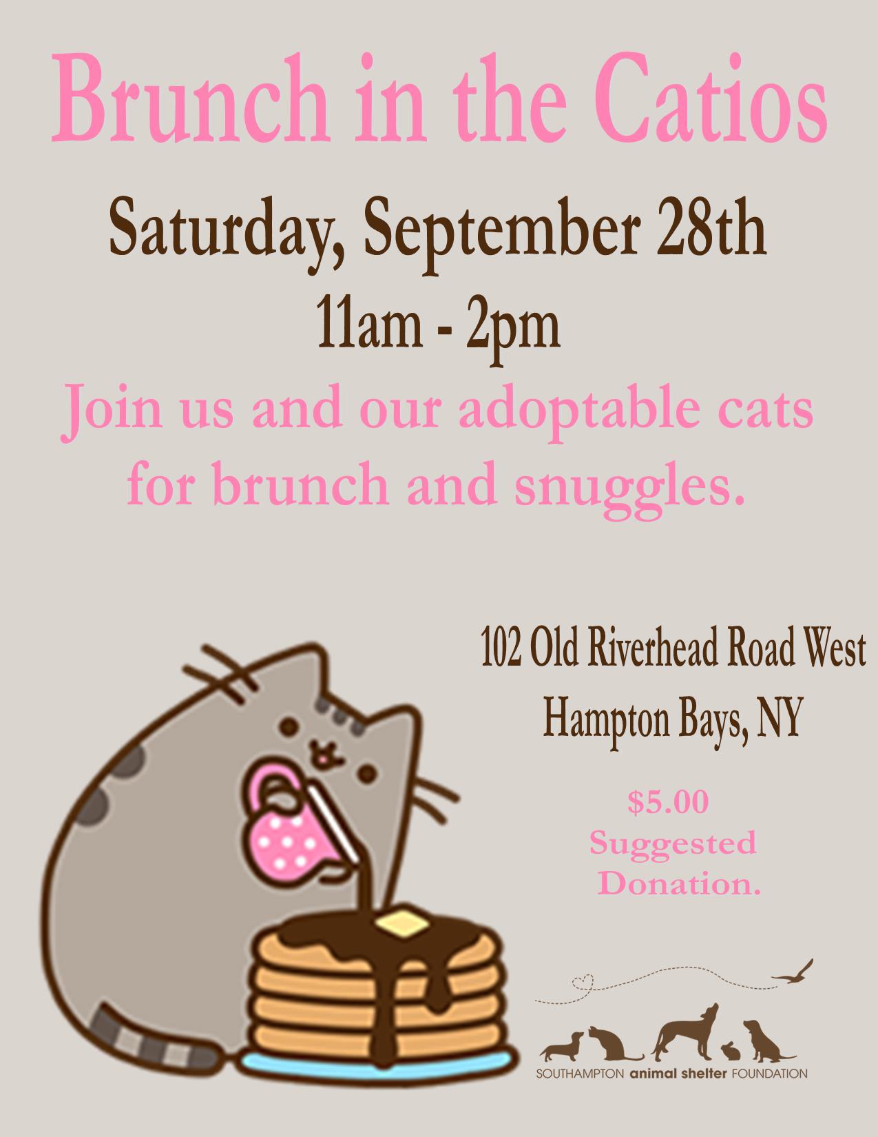 Brunch in the Catios