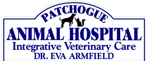 Patchogue Animal Hospital Adoption Event