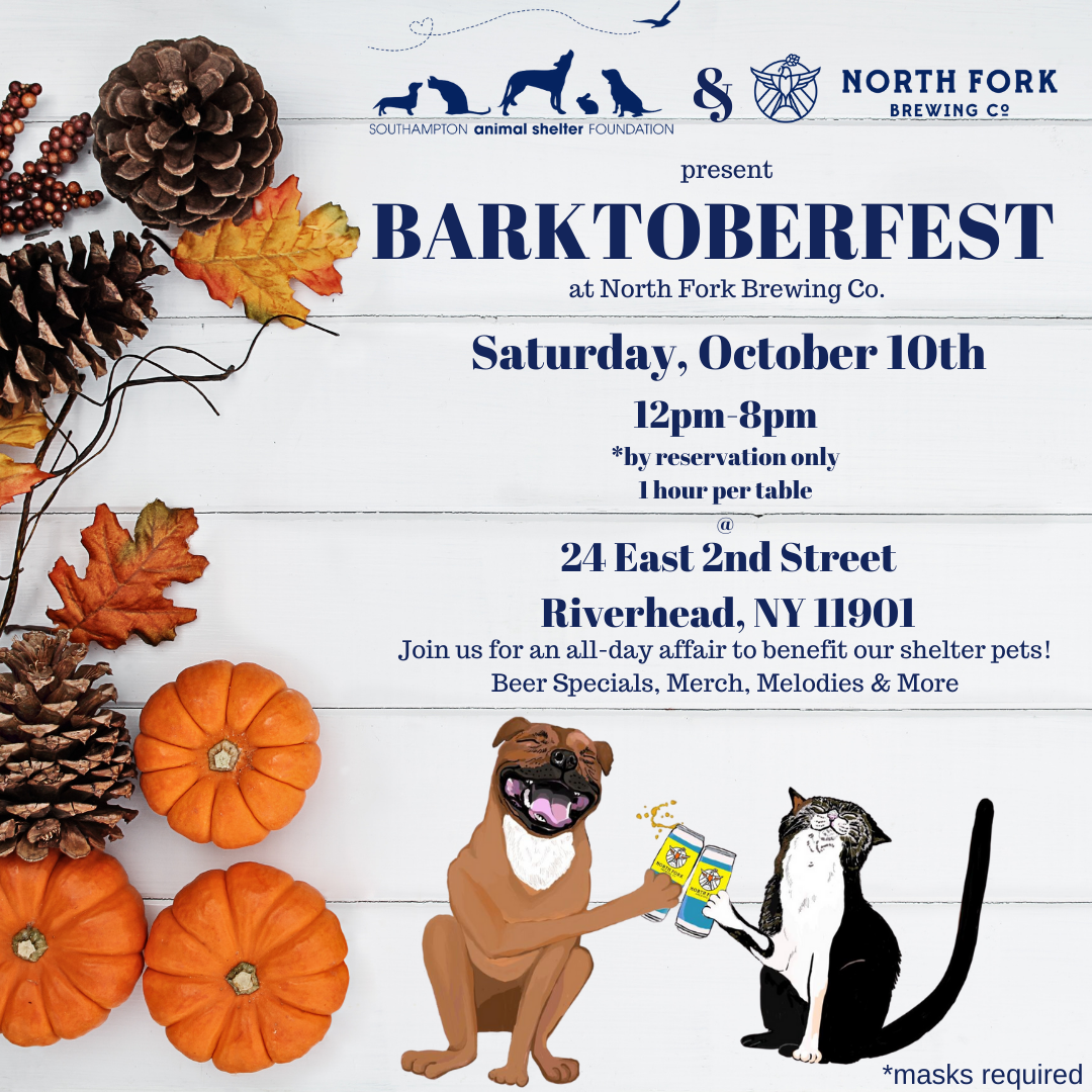 BARKTOBERFEST (7)