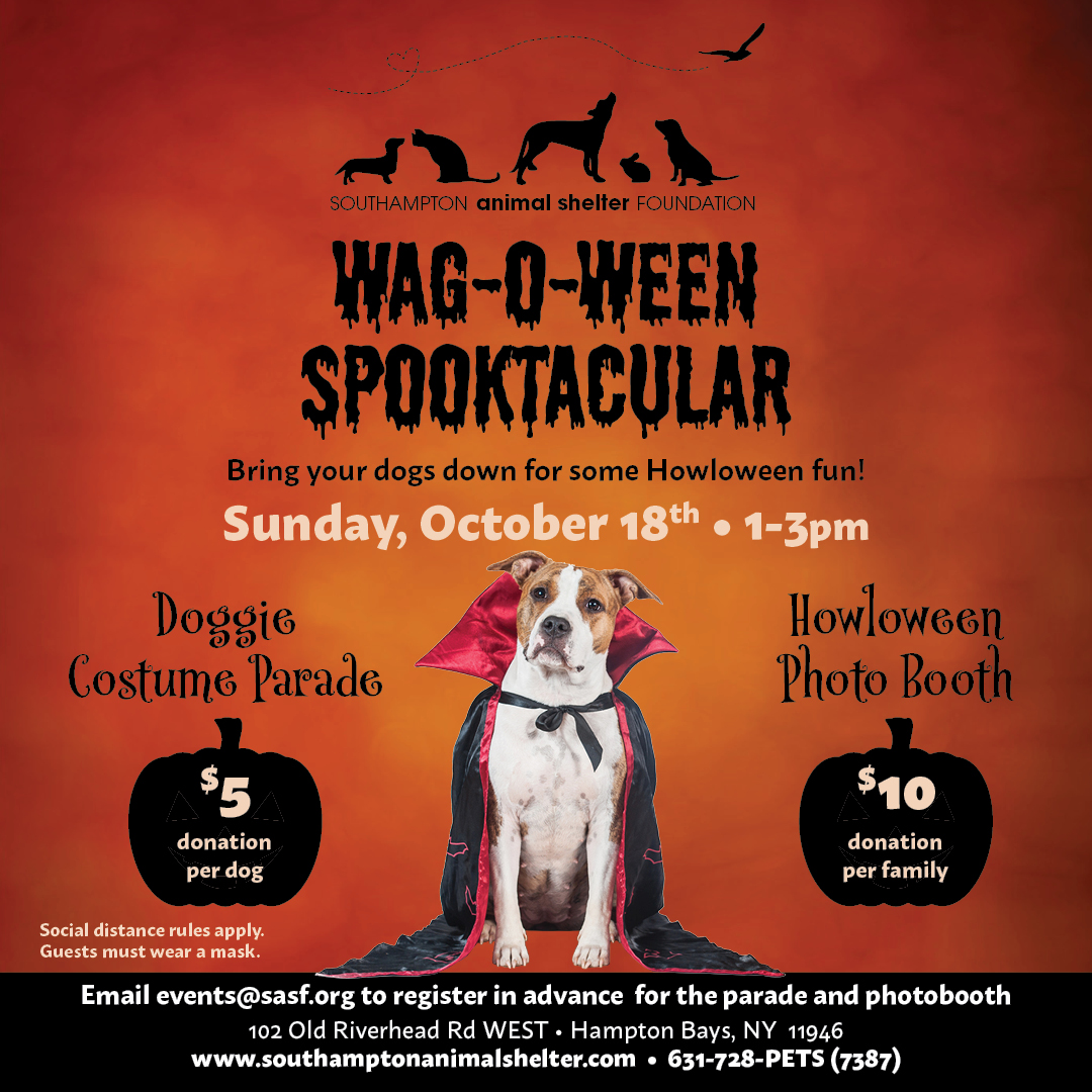 WagOween_1080x1080