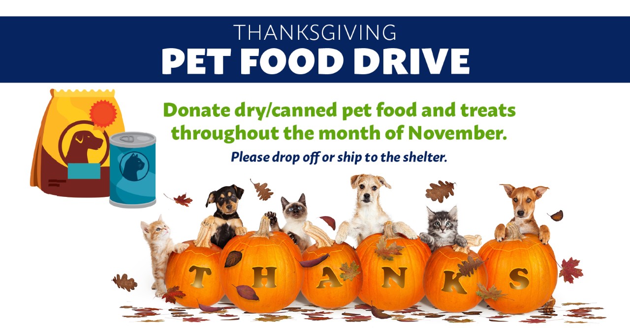  Southampton Animal Shelter Foundation