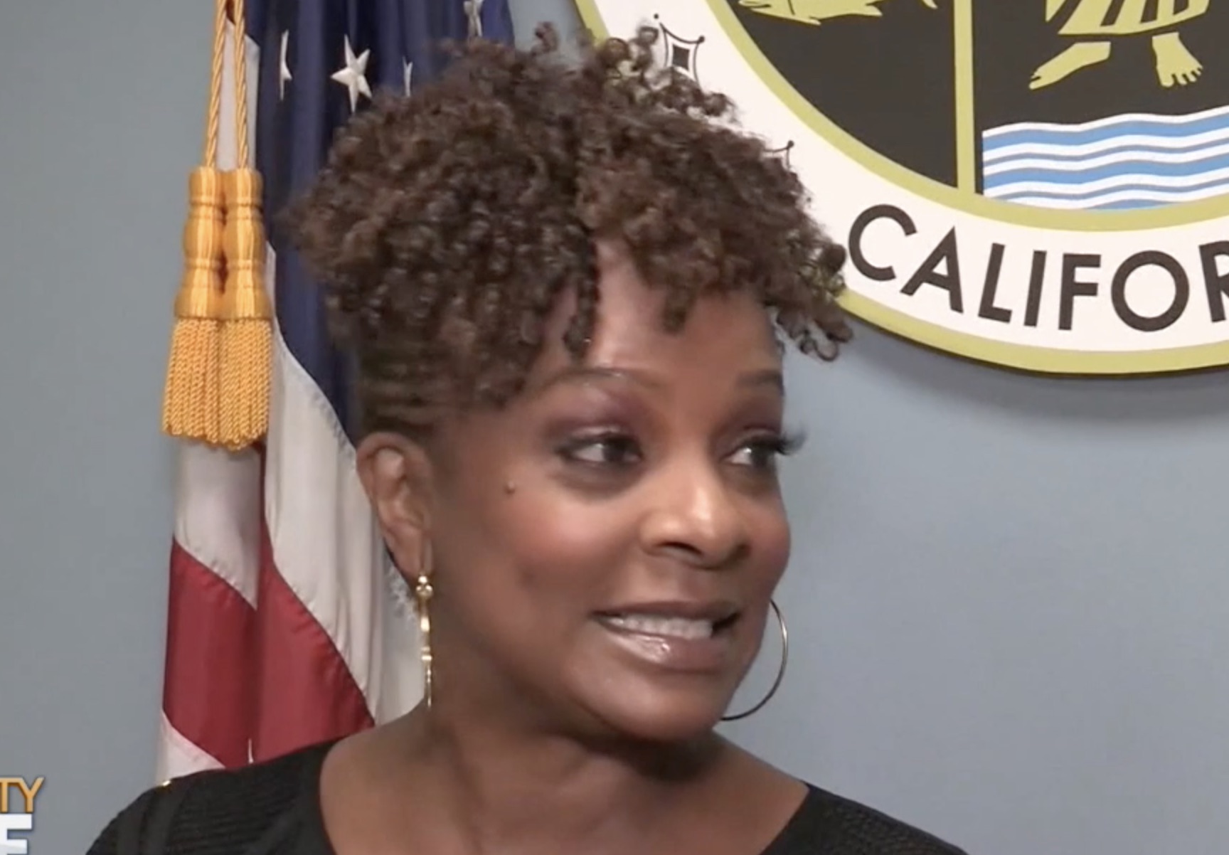 Vanessa Bell Calloway: Breaking Barriers and Defying the Odds