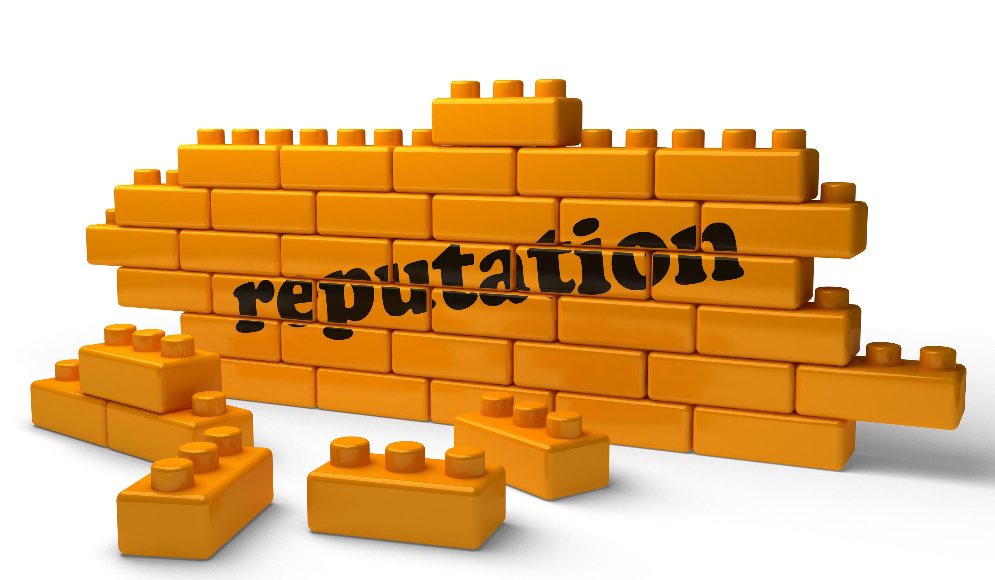 The 12 Reputation Doctor® Bricks of Reputation Management